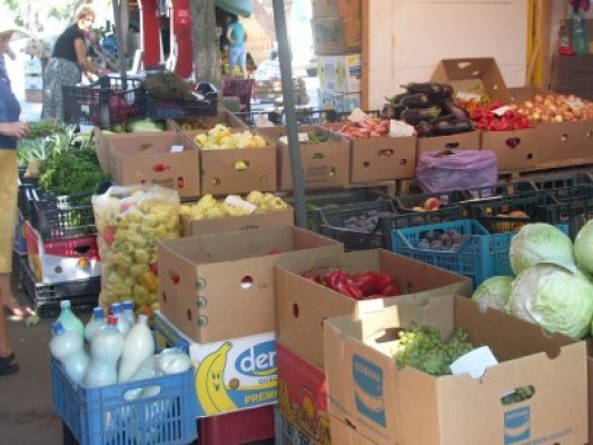 S-au scumpit alimentele şi combustibilii